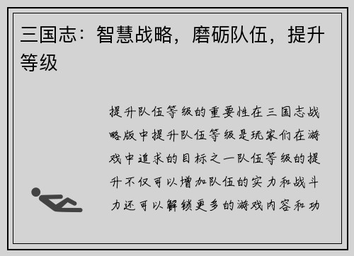 三国志：智慧战略，磨砺队伍，提升等级